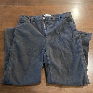 Everlane Cotton Suede Straight Leg Pants